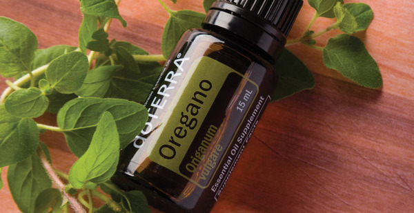 Oregano oil benefits