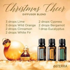 Christmas spirit essential oil