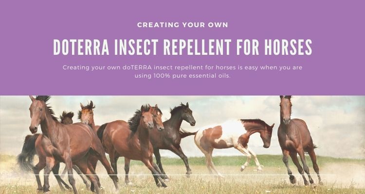 doTERRA insect repellent