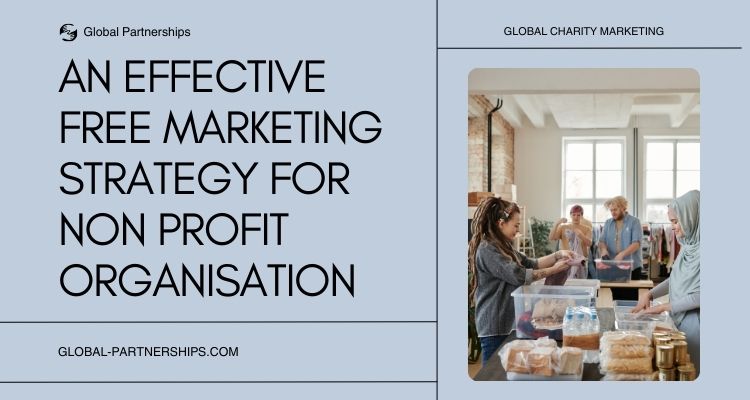 Marketing strategy for non profit organisation